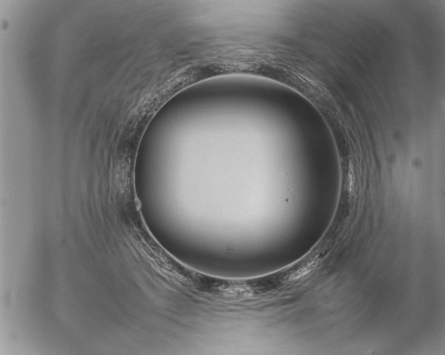 X0000057060409200509091202