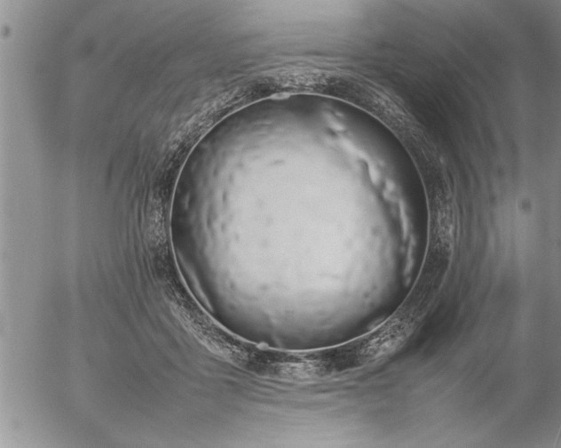 X0000057060411200509091202