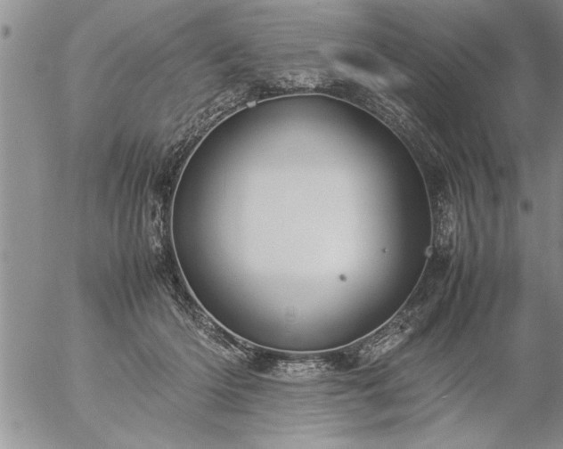 X0000057060414200509091202