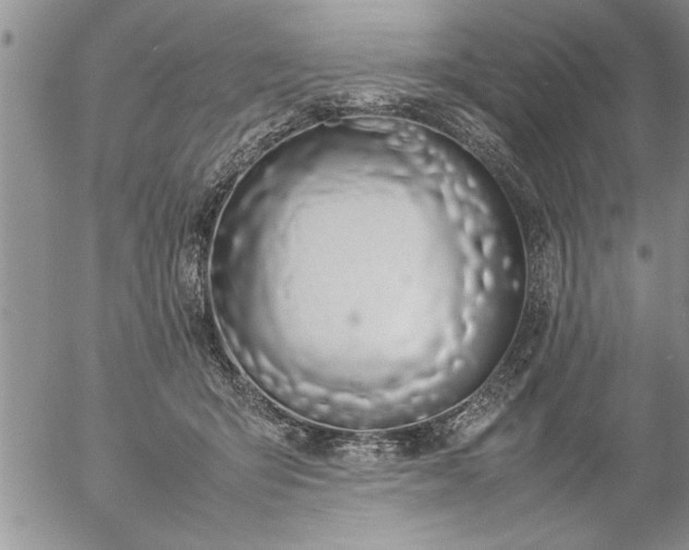 X0000057060415200509091202