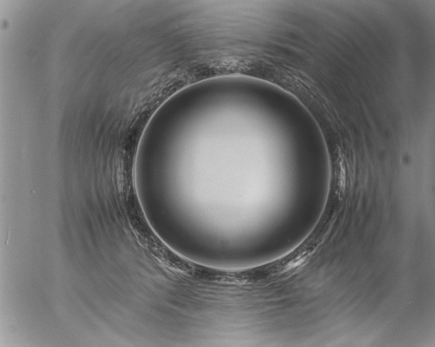 X0000057060416200509091202