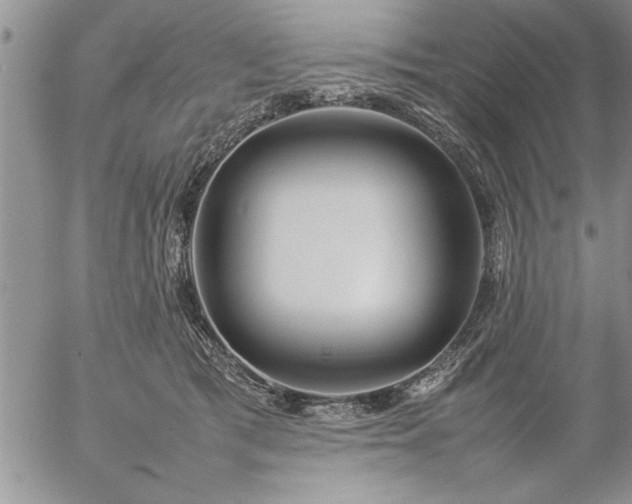 X0000057060417200509091202