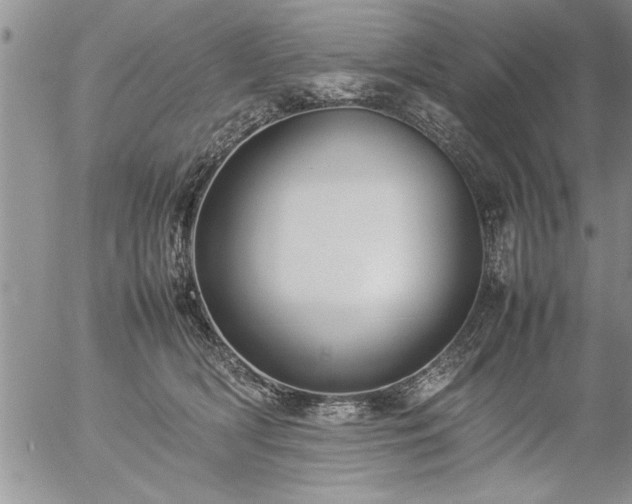 X0000057060418200509091202