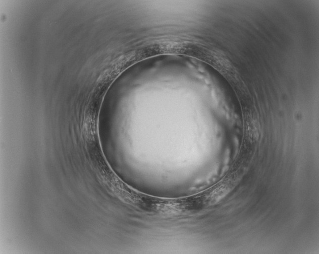 X0000057060419200509091202