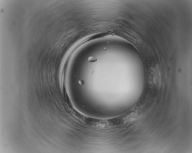 X0000057060420200509091202