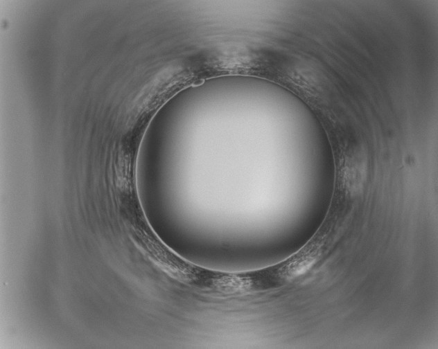 X0000057060421200509091202