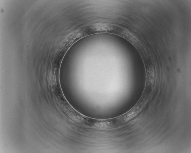 X0000057060422200509091202