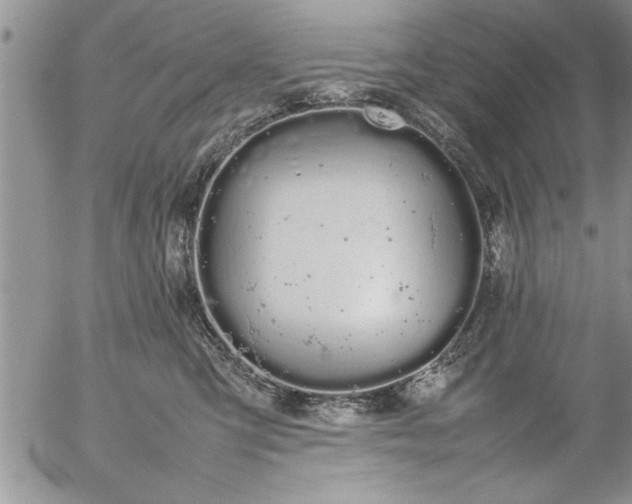 X0000057060423200509091202