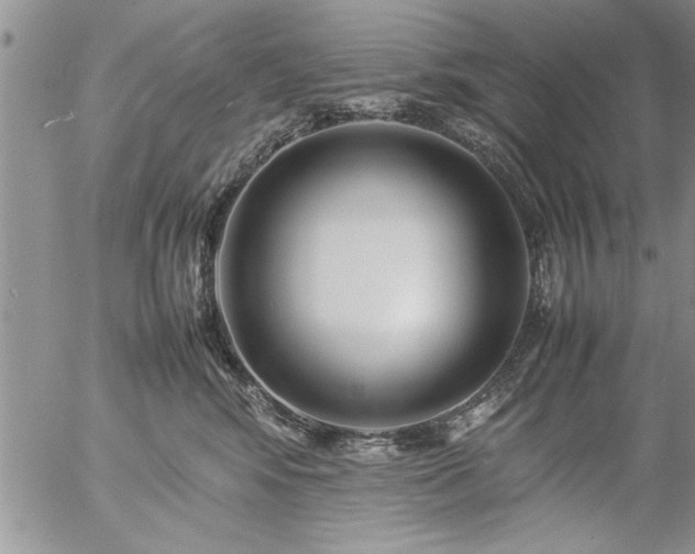 X0000057060424200509091202