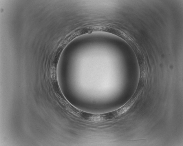 X0000057060425200509091202