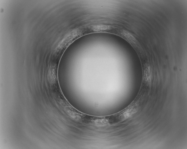 X0000057060426200509091202