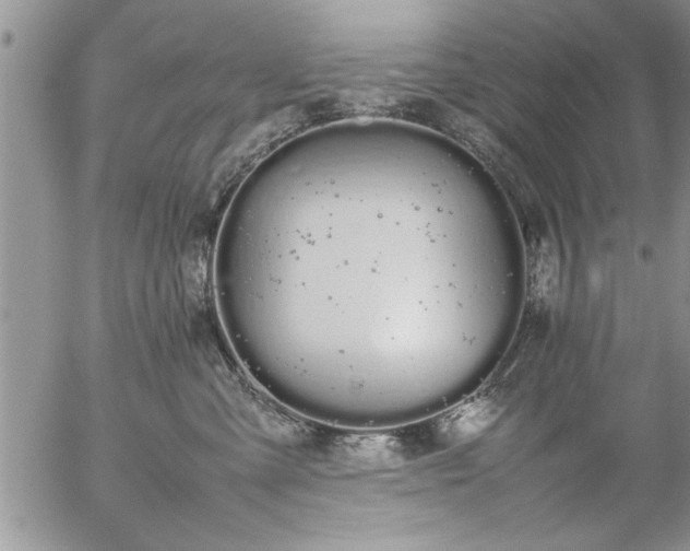 X0000057060427200509091202