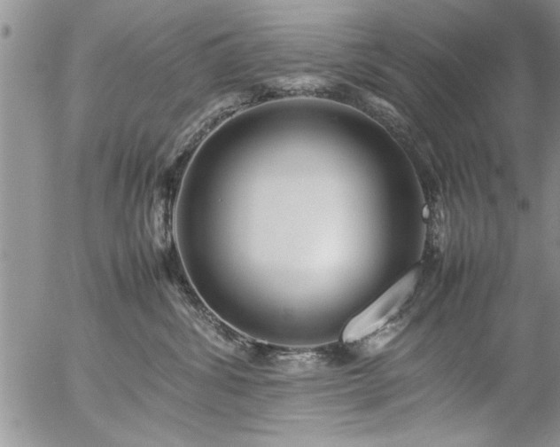 X0000057060428200509091202