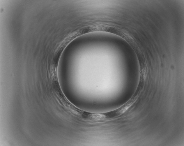 X0000057060429200509091202