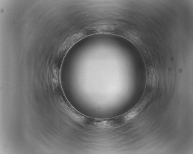 X0000057060430200509091202