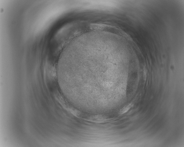 X0000057060431200509091202