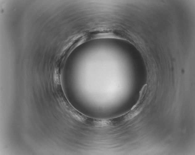 X0000057060432200509091202