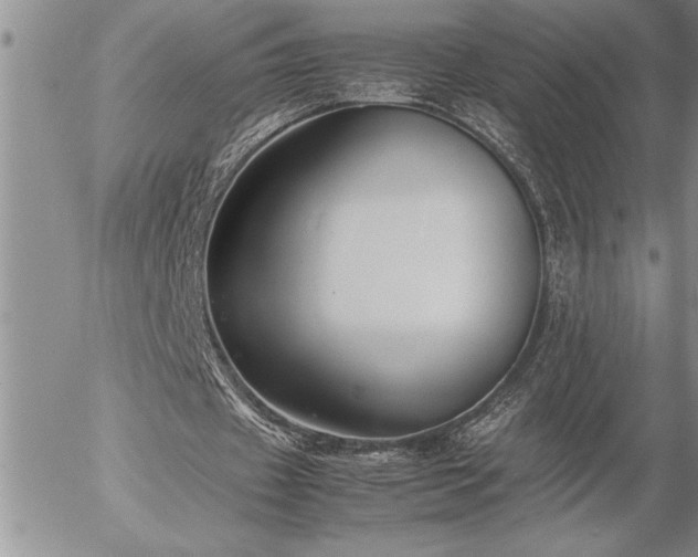 X0000057060433200509091201