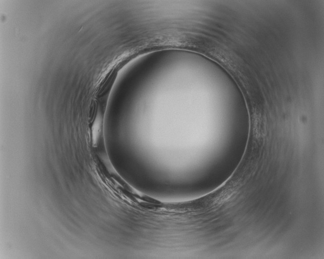 X0000057060434200509091201