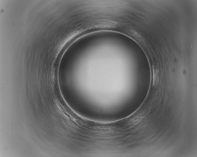 X0000057060435200509091201