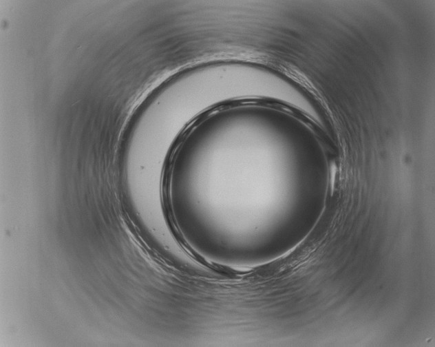 X0000057060436200509091201