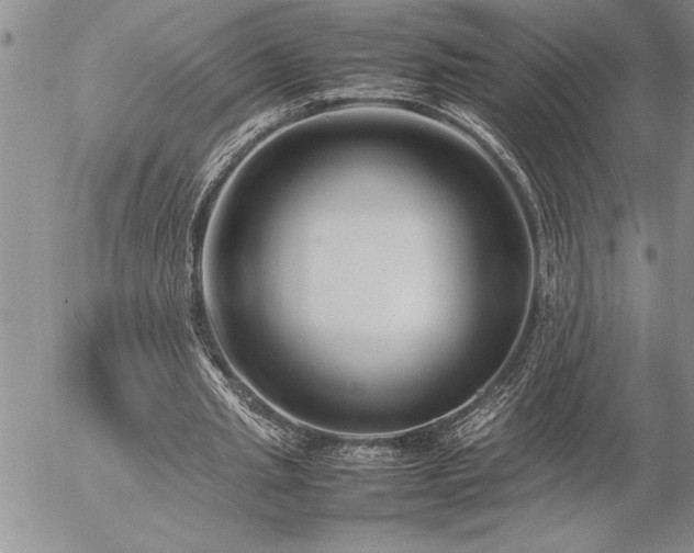 X0000057060437200509091201