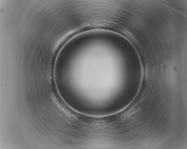 X0000057060438200509091201