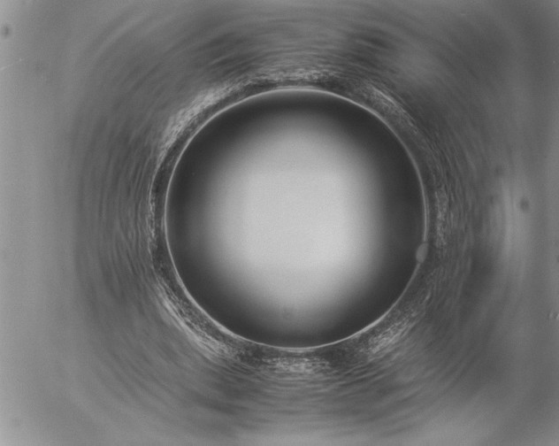 X0000057060439200509091201