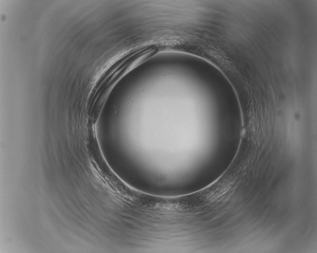 X0000057060440200509091201