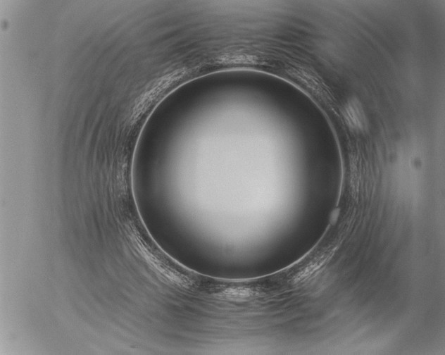 X0000057060441200509091201