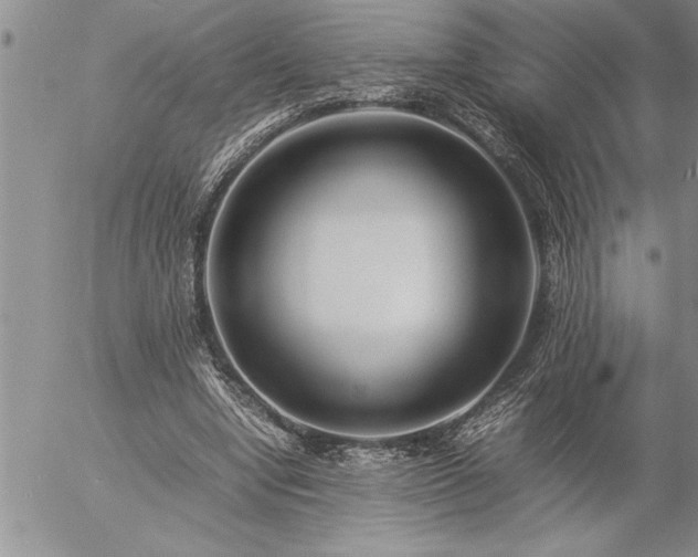 X0000057060442200509091201