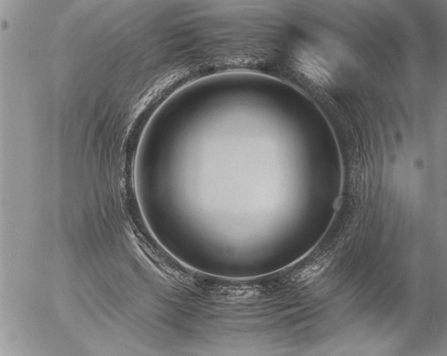 X0000057060443200509091201