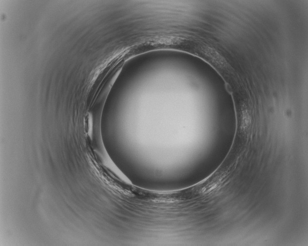 X0000057060444200509091201