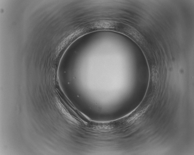 X0000057060445200509091201