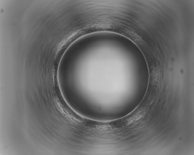 X0000057060446200509091201