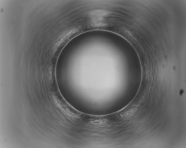 X0000057060447200509091201