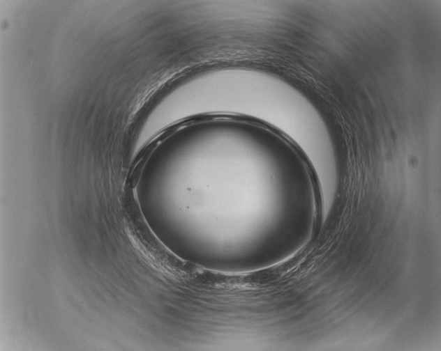 X0000057060448200509091201