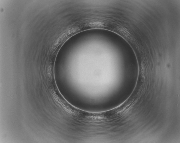 X0000057060449200509091201