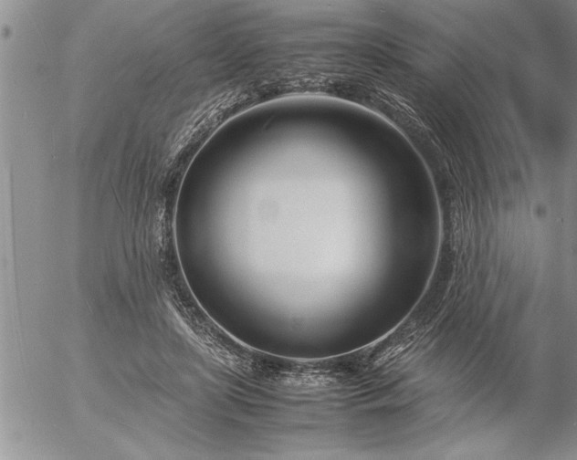 X0000057060451200509091201