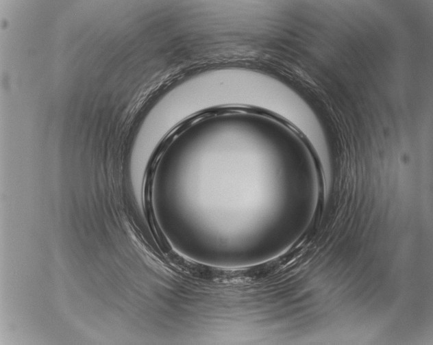 X0000057060452200509091201