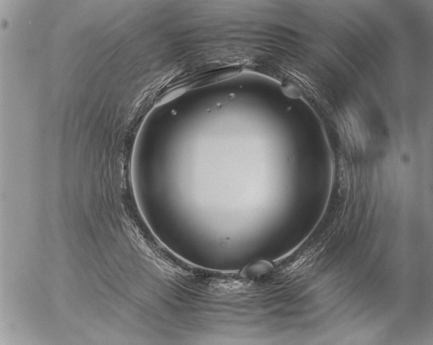 X0000057060453200509091201