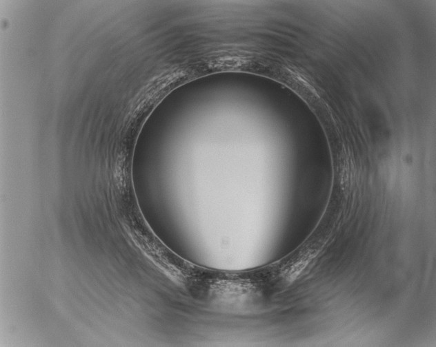 X0000057060455200509091201