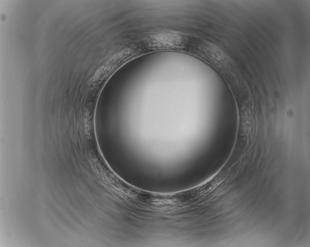 X0000057060457200509091201