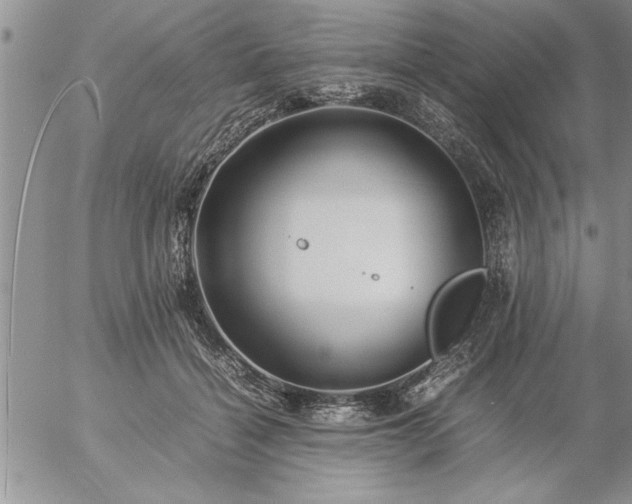 X0000057060460200509091201