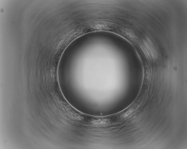 X0000057060461200509091201