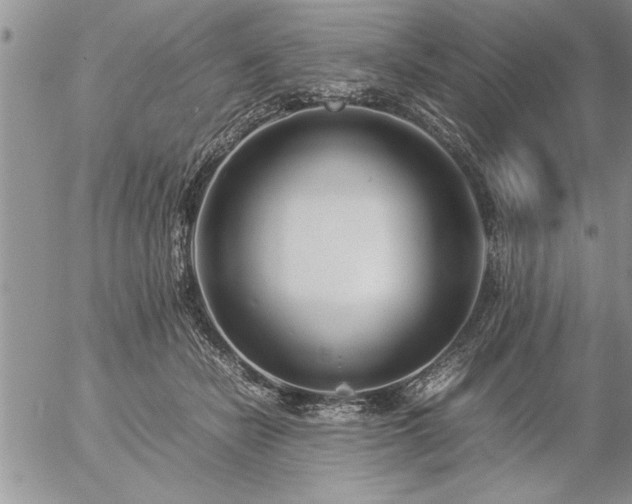 X0000057060462200509091201