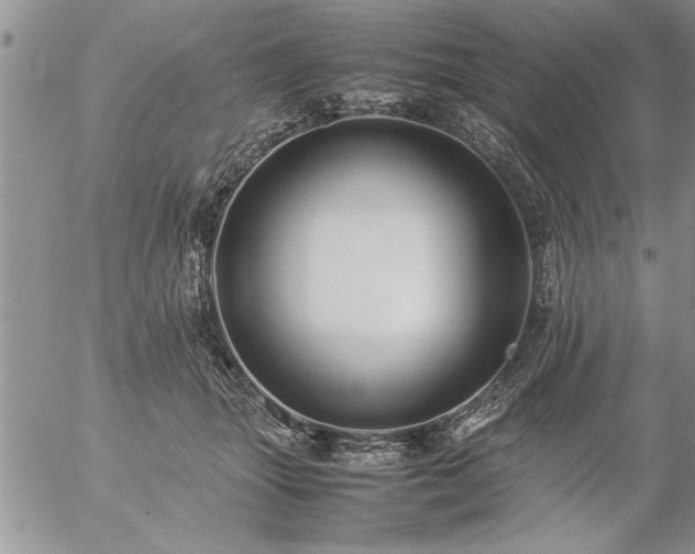 X0000057060463200509091201