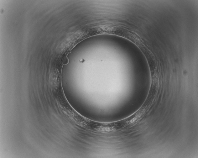 X0000057060464200509091201