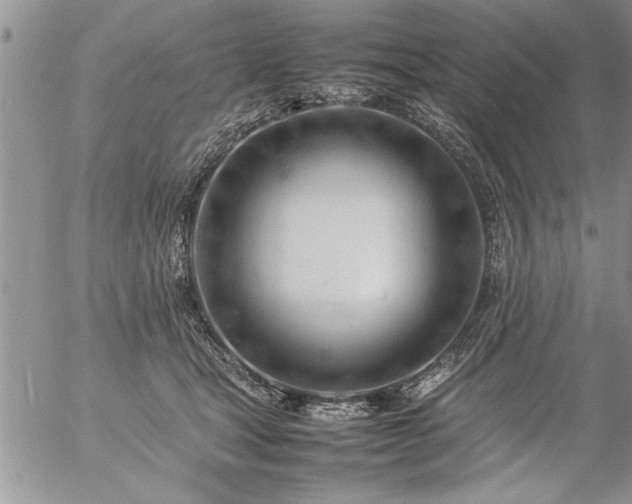 X0000057060465200509091201