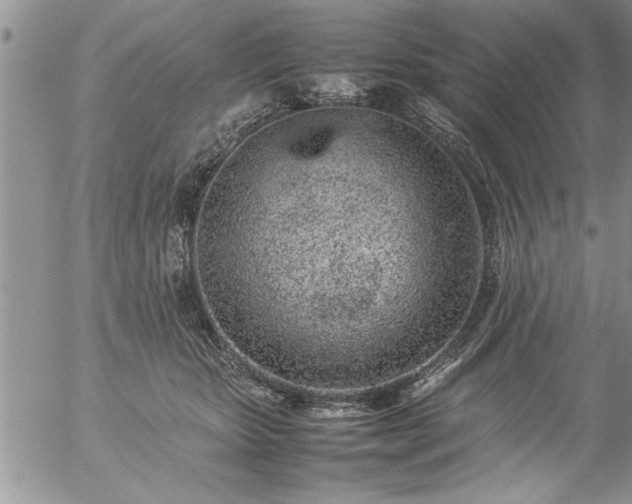 X0000057060467200509091201